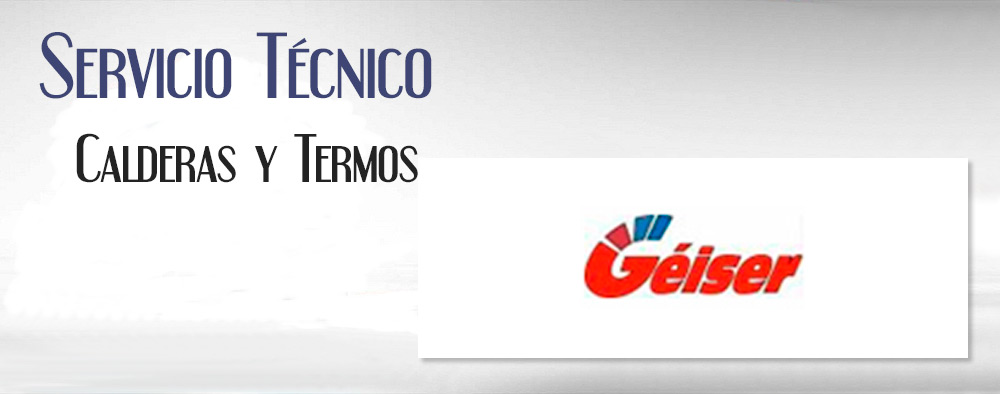 Reparacion de calderas Geiser.