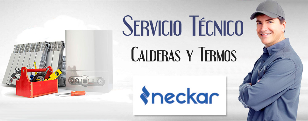 Reparacion de calderas Neckar.