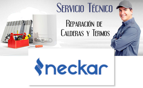 Reparacion de calderas Neckar.