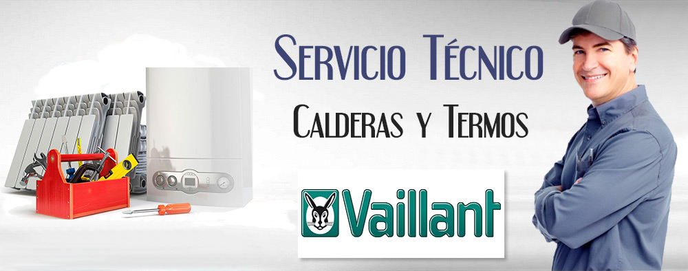 Reparacion de calderas Vaillant.