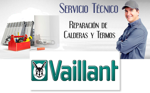 Reparacion de calderas Vaillant.