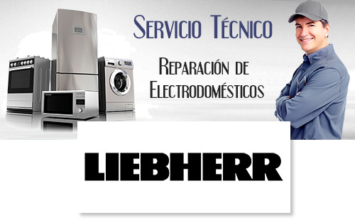 Reparacion de electrodomesticos Liebherr.