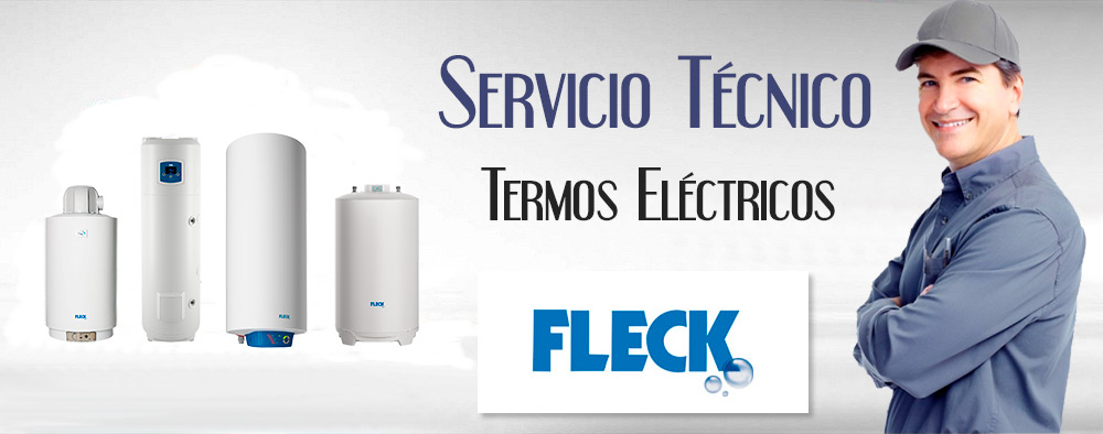 Reparacion de termos electricos Fleck.