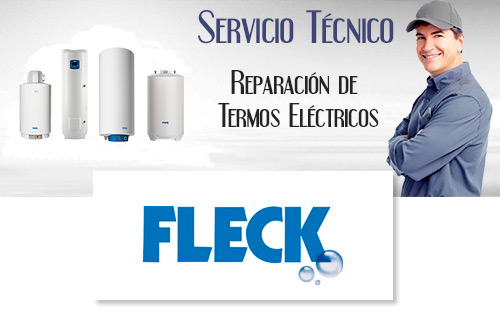 Reparacion de termos electricos Fleck.